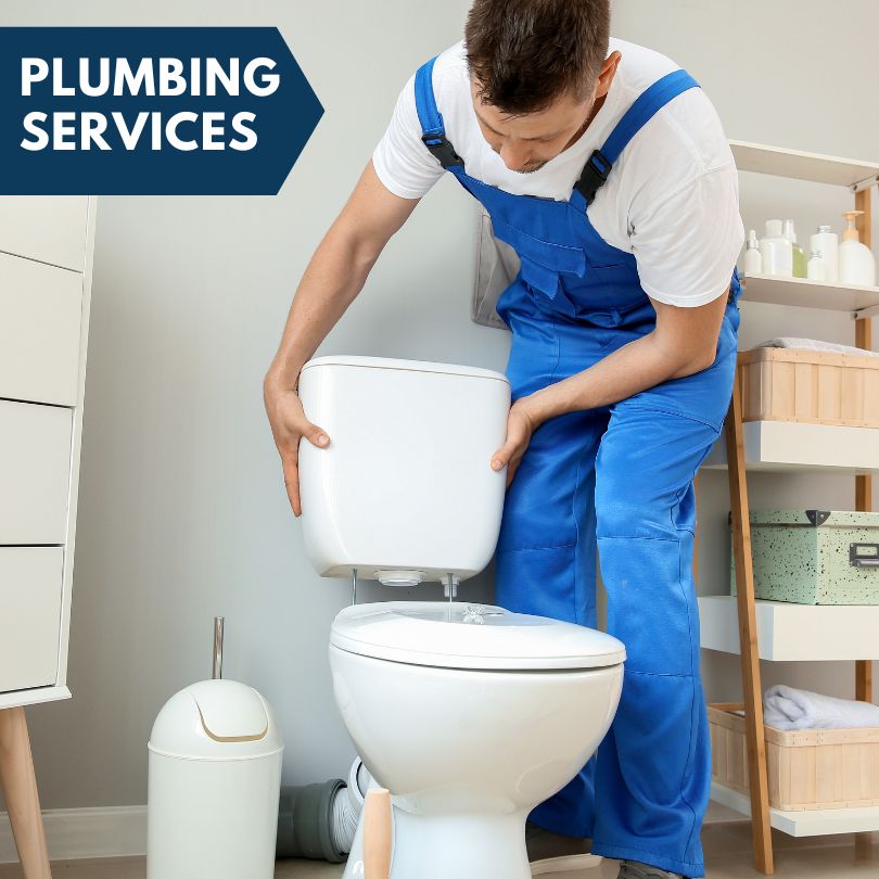 Plumbing Company in Balsam Grove, NC
